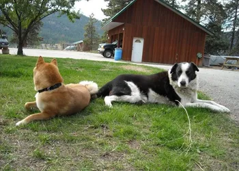 Wildhorse Mountain Guest Ranch hotel thumbnail 2