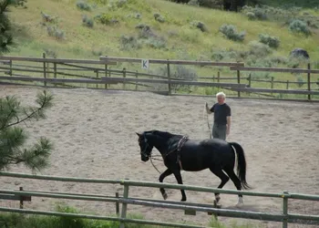 Wildhorse Mountain Guest Ranch hotel thumbnail 7