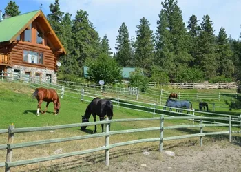 Wildhorse Mountain Guest Ranch hotel thumbnail 8