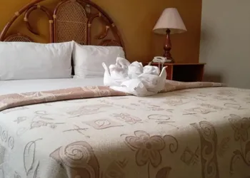 Hotel Dinastía Colima hotel thumbnail 4