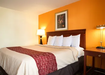 Highlander Motel hotel thumbnail 7