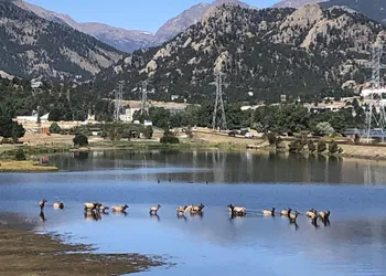 Estes Lake Lodge hotel thumbnail 3