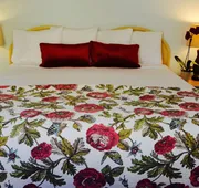 Sea Turtle Inn hotel detail image 7