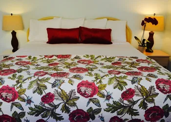 Sea Turtle Inn hotel thumbnail 8