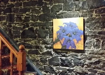 Gîte À l'Augustine hotel thumbnail 2