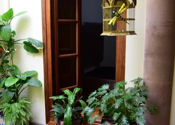 Casa Maricela B&B hotel thumbnail 4