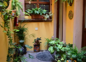 Casa Maricela B&B hotel thumbnail 6
