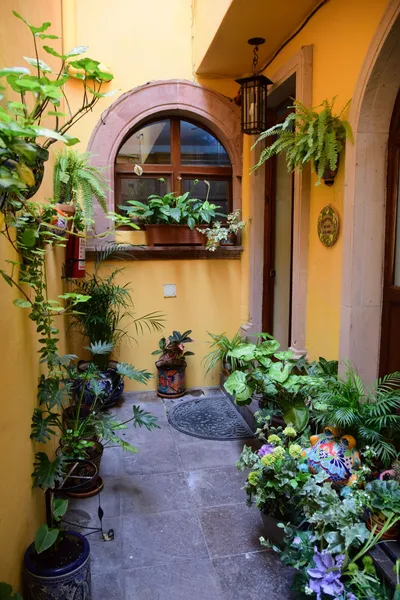 Casa Maricela B&B hotel detail image 6