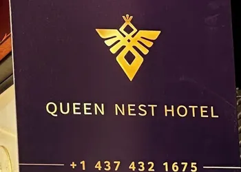 The Palmerston hotel thumbnail 4