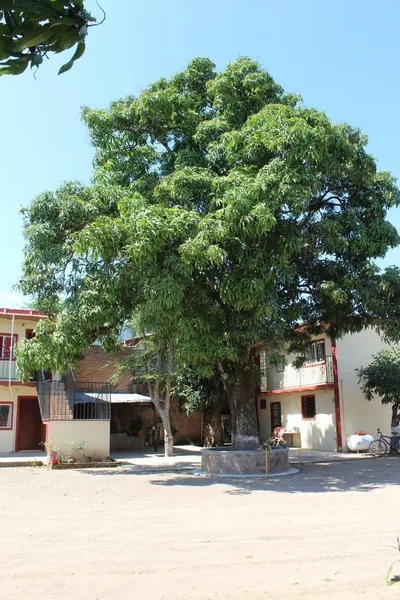 Meson La Huerta hotel detail image 6
