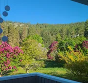 The Chirping Cricket Bed & Breakfast hotel detail image 4