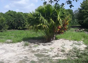 Centro Ecoturistico Rio Chuj Te hotel thumbnail 3