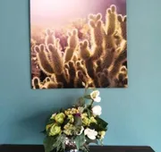 Hotel Corazon Mexicano hotel detail image 4