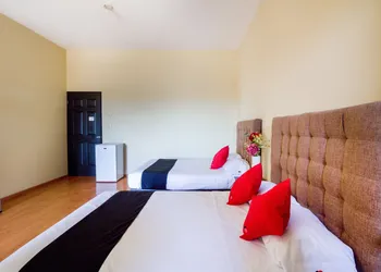 Ecohabit Monterrey hotel thumbnail 6
