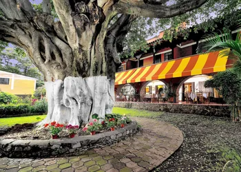 Hotel Posada San Angelo hotel thumbnail 4