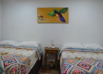 Vicalis hotel thumbnail 4