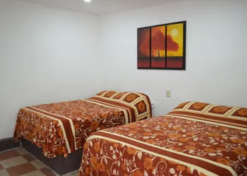 Vicalis hotel thumbnail 5