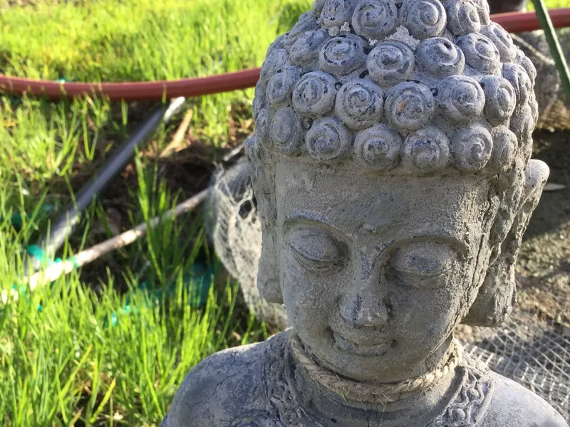 Heartwood Mountain Sanctuary hotel detail image 2
