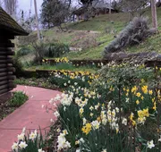 Heartwood Mountain Sanctuary hotel detail image 3
