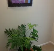 Bed and Breakfast hotel detail image 3