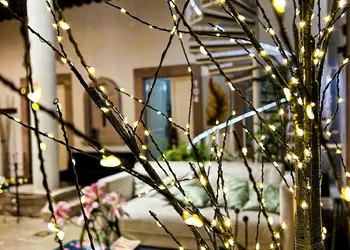 M Hoteles Concepto hotel thumbnail 3