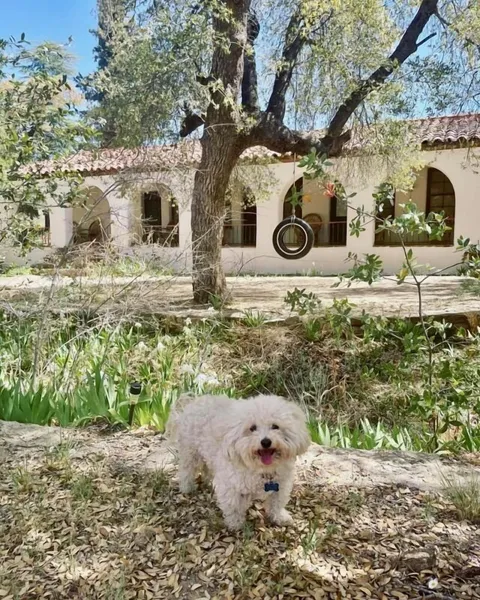 El Rancho Robles hotel detail image 2