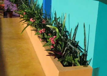 Hotel Arco Iris Tulum hotel thumbnail 2