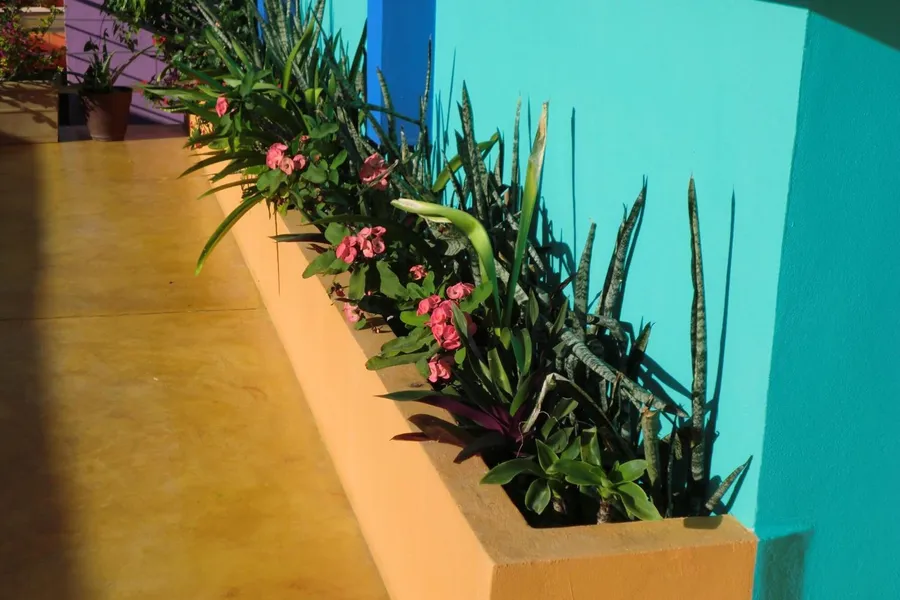 Hotel Arco Iris Tulum hotel detail image 2