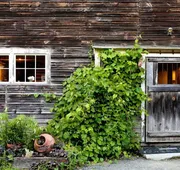 Gedney Farm hotel detail image 4