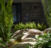 Cascadas Boutique Hotel hotel detail image 3