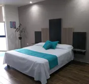 Suites and Art hotel detail image 3