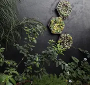Casa Hidalgo hotel detail image 5
