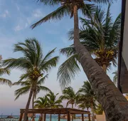 Lotus Beach Hotel - Adults Only hotel detail image 5