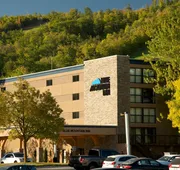 Blue Mountain Resort Inn hotel detail image 5