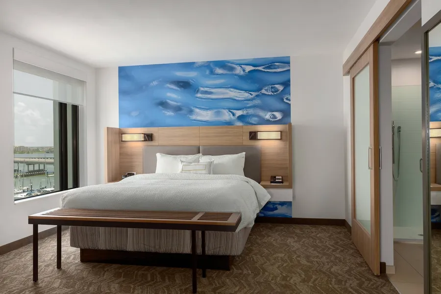SpringHill Suites by Marriott Bradenton Downtown/Riverfront hotel detail image 6
