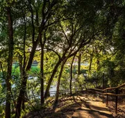 Gruene River Hotel & Retreat hotel detail image 3