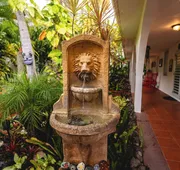 Coconut Palms Inn On The Beach hotel detail image 3