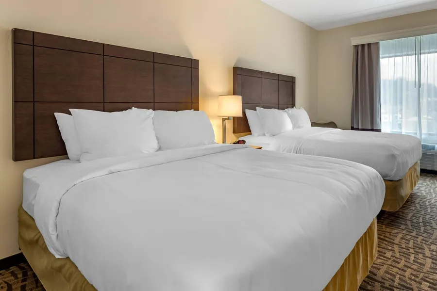 Comfort Inn & Suites Pittsburgh-Northshore hotel detail image 6