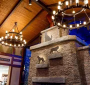 Great Wolf Lodge Illinois hotel detail image 4