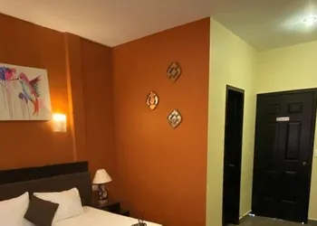 Hotel Taxaha hotel thumbnail 8