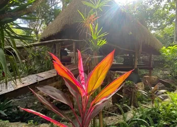 Corazón de Selva hotel thumbnail 3