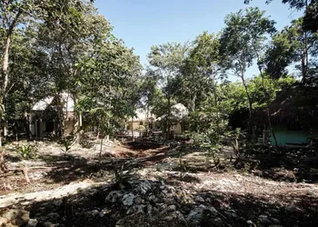 Corazón de Selva hotel thumbnail 7