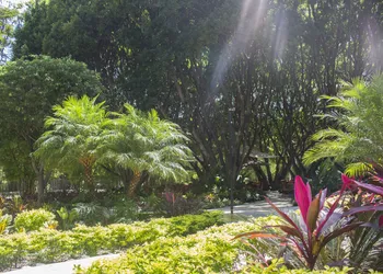 Los Laureles Hotel & Centro de Convenciones hotel thumbnail 2