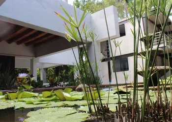Los Laureles Hotel & Centro de Convenciones hotel thumbnail 5