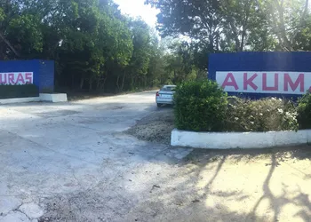 Hammock Heaven hotel thumbnail 6