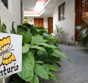 Suites Ejecutivas Los Arcos hotel detail image 5