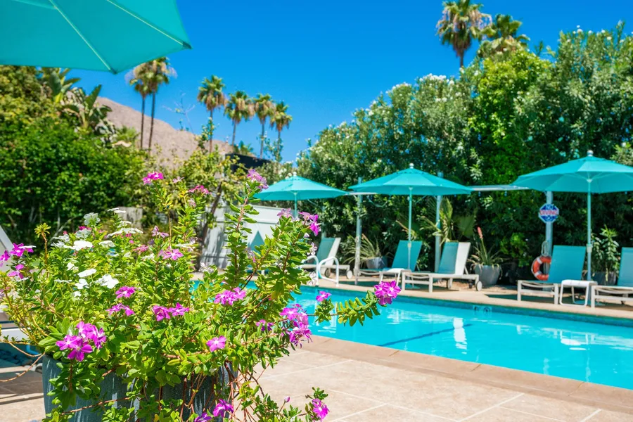 BelleVue Oasis-Palm Springs - Adults Only hotel detail image 2