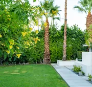BelleVue Oasis-Palm Springs - Adults Only hotel detail image 4
