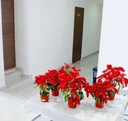 JM Express hotel detail image 5