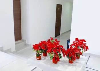 JM Express hotel thumbnail 5